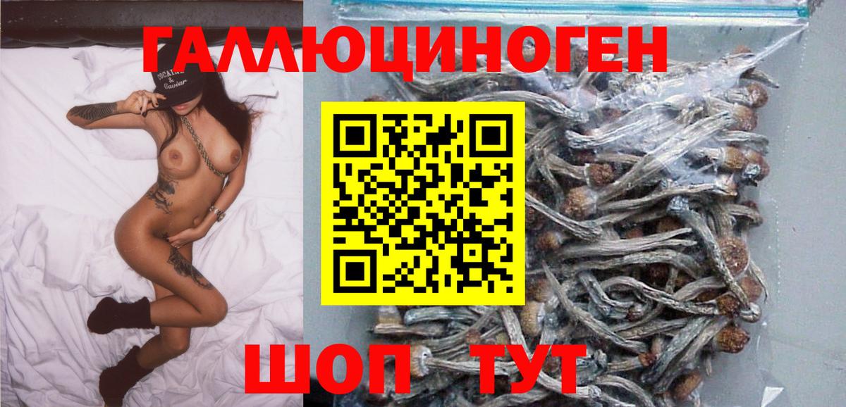 Нерюнгри  Галлюциногенные грибы мухоморы  Псилоцибиновые грибы ЛСД  Вход с VPN 